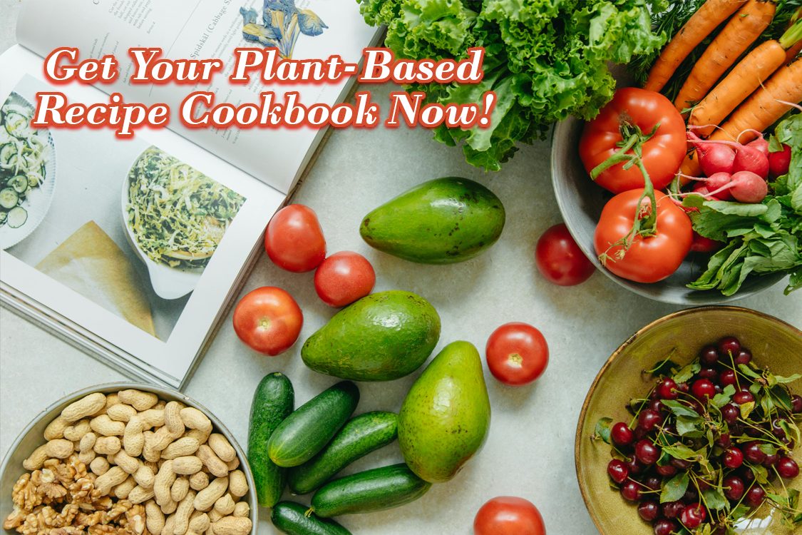 Plant-based recipe cookbook